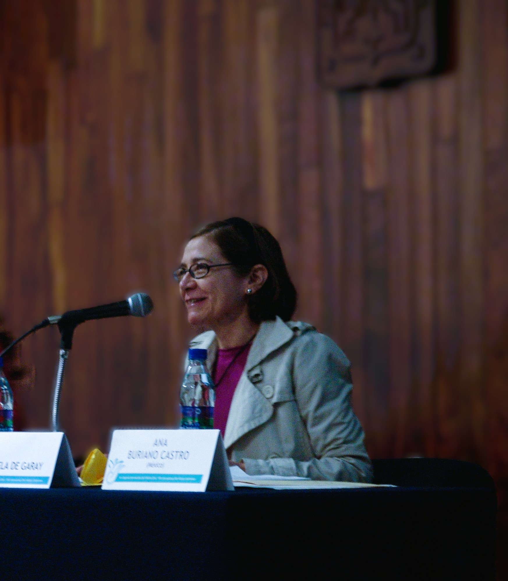 Graciela de Garay Arellano 